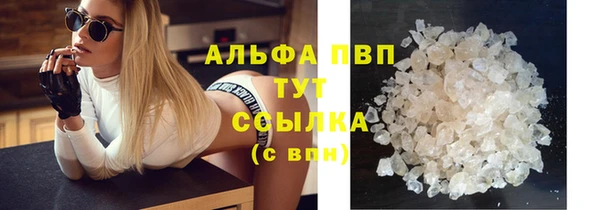 ECSTASY Абаза