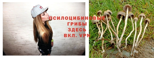 ешки Абдулино