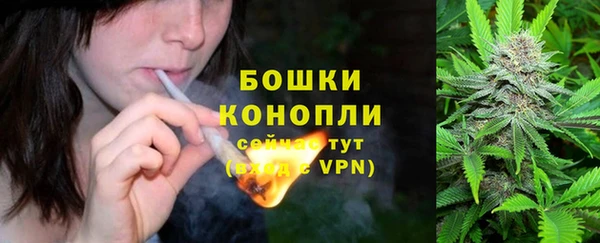 ECSTASY Абаза