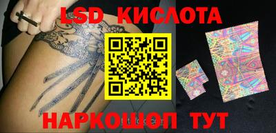 прущие грибы Камышлов