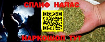 прущие грибы Камышлов
