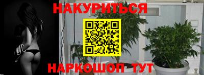 прущие грибы Камышлов