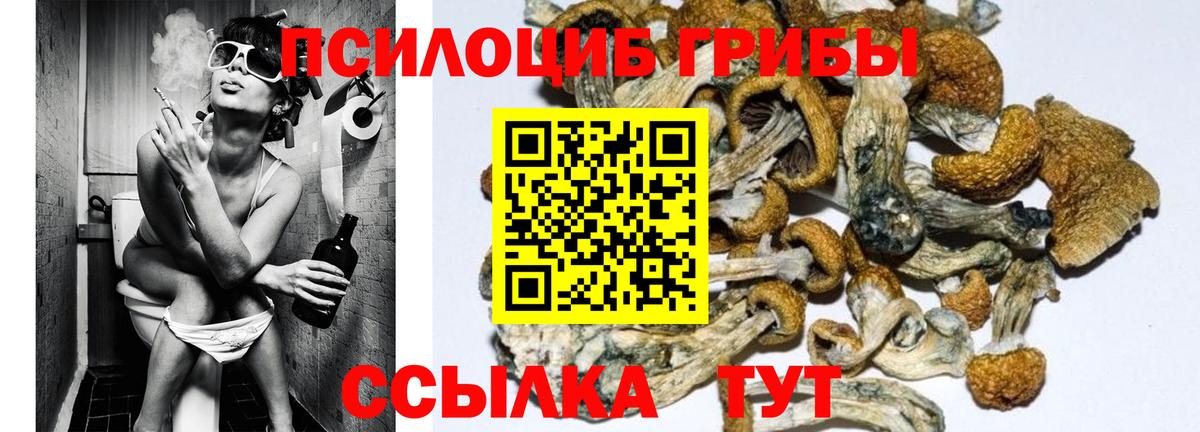 Сызрань  Псилоцибиновые грибы MAGIC MUSHROOMS  Вход с VPN 